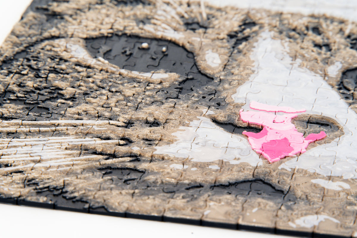 Walter Reed Puzzle Walter Textured Jigsaw Puzzle – Pop Out Prints