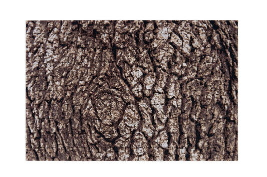 Oak Tree Textured Jigsaw Puzzle