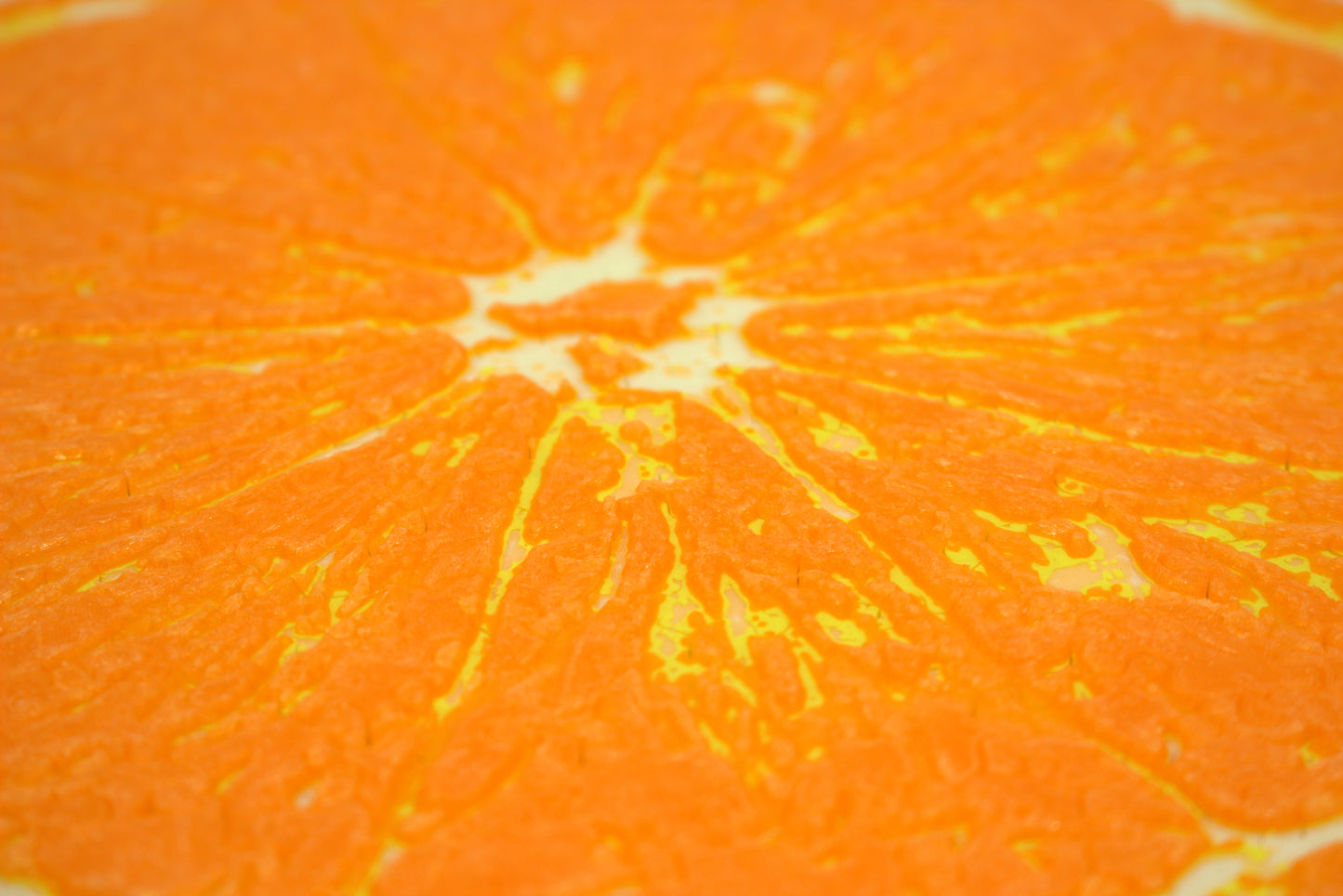 Orange Slice Textured Jigsaw Puzzle