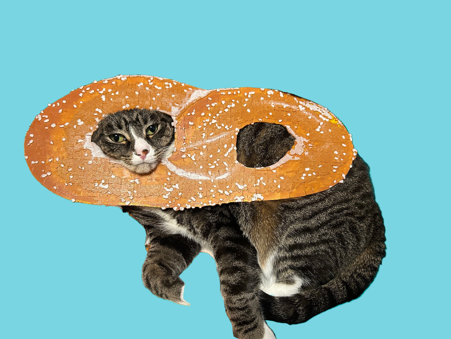 Philly Soft Pretzel Textured Jigsaw Puzzle